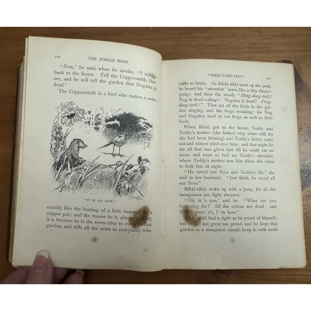 The JUNGLE Book by RUDYARD KIPLING 1894 Print 1st Edition Children's Collectible